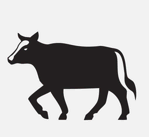 icono vaca